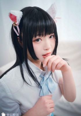 犬航碧蓝线獒组合